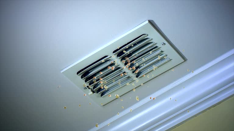 Best Local Air Duct Cleaning Services  in Jacobus, PA