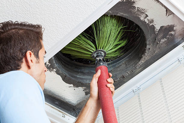 Best Air Duct Mold Removal  in Jacobus, PA